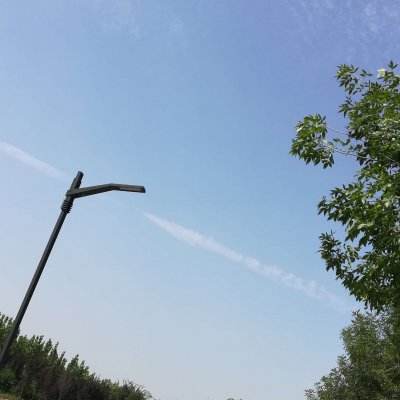 百战狮王手游下载